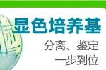 深圳福田优康医疗器械与鸿运通网站优化签署搜索排名合作协定